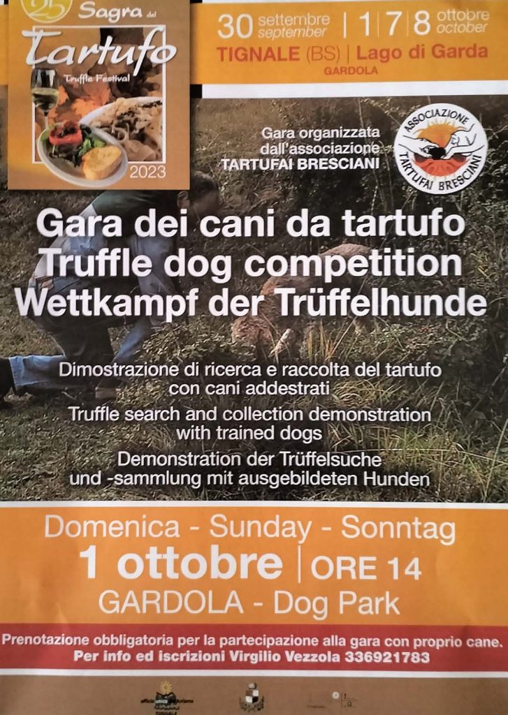 associazione tartufai bresciani gara cani tartufo